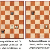 Festungen gegen die schwarze Dame
