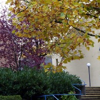 Aufgang zum Spiellokal
