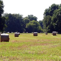 dem2014_09_heuballen.jpg