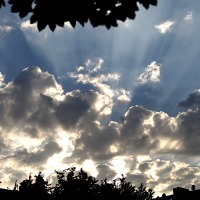 sfk_sf2012_ 071.jpg