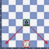 Läufer und Springer