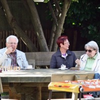 sfk_sommerfest2010 019.jpg