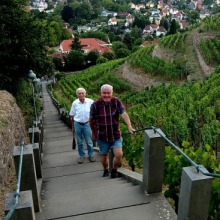 WM_Radebeul_070_Spitzhaustreppe.jpg