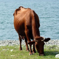 batumi_26.jpg