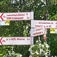 radtour2012_42.jpg