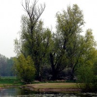 nrwem09_05.jpg