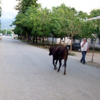batumi_40.jpg