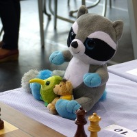 Maskottchen am Brett