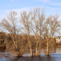 Hochwasser.jpg
