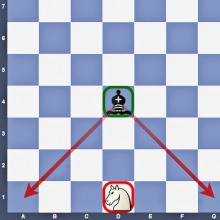 Läufer und Springer